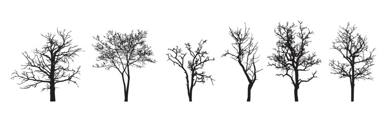 dead tree silhouette drawing