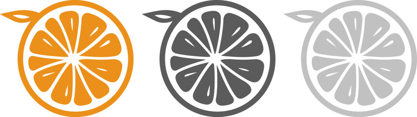 Citrus fruit icon silhouette. Vector template eps10 design.