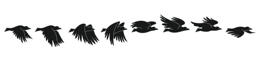 Obraz premium bird fly process