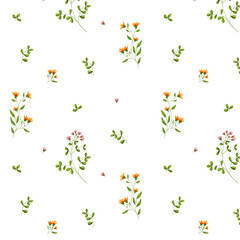 Cute meadow flowers and leaves on a seamless pattern. Watercolor illustration in digital. Red and yellow buds and flowers isolated on a white background. Wildflowers and herbs. Botanical illustration