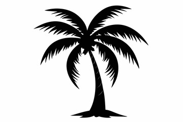 black silhouettes of a palm tree, palm tree svg, palm tree icon vector