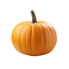 Obraz premium Pumpkin isolated on white background