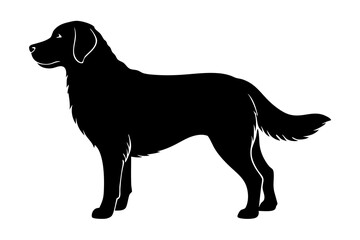 Golden Retriever Dog Silhouette, Vector Illustration, Clipart Design