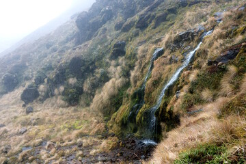 water flows over the mossy overgrown mountain rocks, The soda springs falls in New zealand