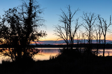 Landscape with backlit trees, Valparaíso Reservoir at dusk with the setting sun and clouds of forest fire smoke, Villardeciervos, Zamora, Castilla y León, Spain.