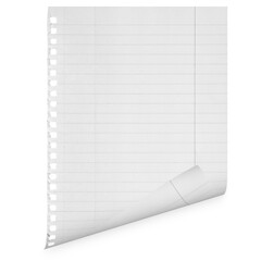 a isolated curled  sheet of paper