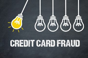 Fototapeta premium Credit Card Fraud 