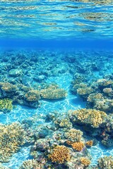 Underwater Coral Reef with Sunbeams and Clear Blue Water