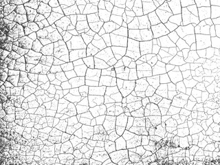 dry land old texture vector design