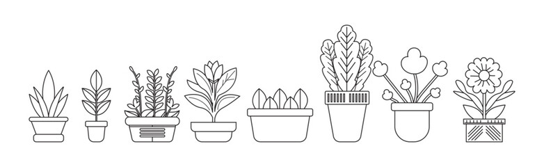 plants in pots flat design outlines