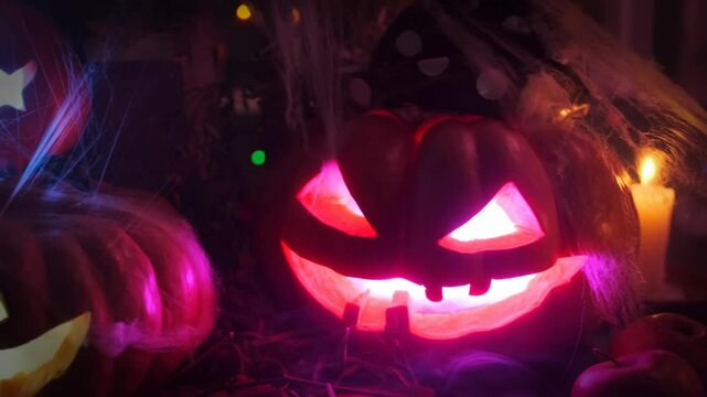 Close up of halloween scary pumpkins with glowing eyes and mouth of different shapes and sizes decoration for night party on october 31.