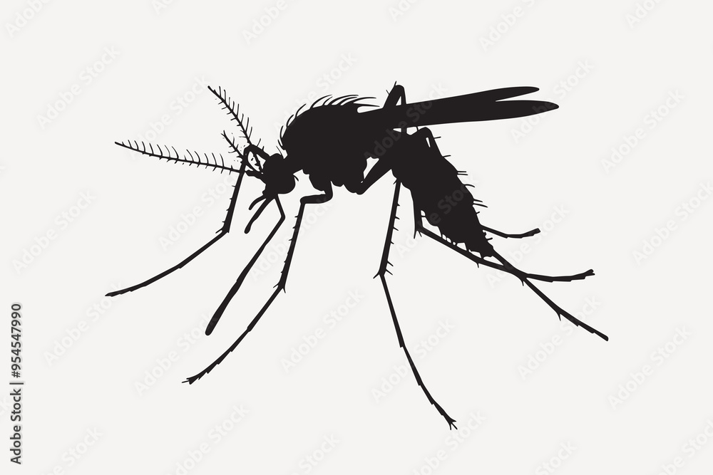 Wall mural mosquito silhouette on white background