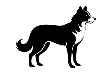 Border Collie Dog Silhouette, Vector Illustration, Clipart Design