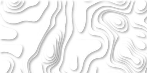  paper cut 3d render topography abstract, beautiful white Background. geometric map relief texture with curved layers and shadow. Realistic papercut decoration textured with wavy vector design.