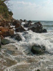 Bulgaria, forest, park, trees, coast, sand, ruins, willows, flower bed, flowers, summer, vacation, pine trees, sea, waves, storm, sea foam, beach