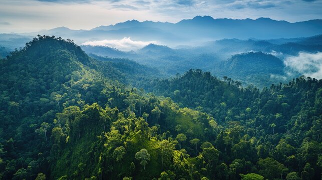 Aerial view of the Gunung Leuser National Park, showcasing dense rainforest and rugged terrain in Sumatra