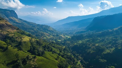 Aerial view of the scenic valley and tea terraces around Seat in Haputale, with panoramic mountain views