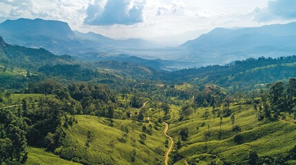 Fototapeta premium Aerial view of the scenic valley and tea terraces around Seat in Haputale, with panoramic mountain views