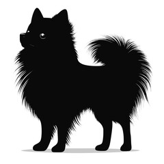 Pomeranian stands in profile, vector image, icon, flat, black on a white background.