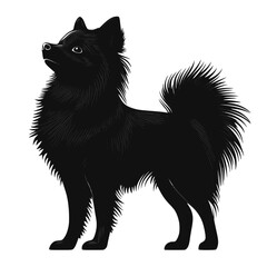 Obraz premium Pomeranian stands in profile, vector image, icon, flat, black on a white background.