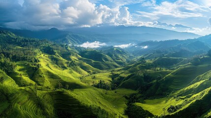Fototapeta premium Panoramic shot of the cascading terraced fields and lush valleys of the Minangkabau Highlands in West Sumatra