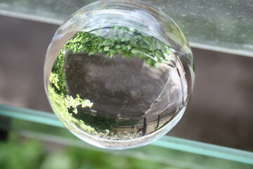 glass ball 
