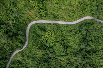 Aerial view on mountain road from drone of road in the middle of the forest in rainy day in spring, green foliage in empty asphalt road through the mountains.