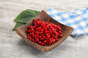 Ripe sweet wild organic cowberry