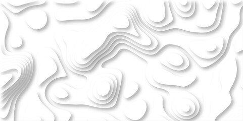  paper cut 3d render topography abstract, beautiful white Background. geometric map relief texture with curved layers and shadow. Realistic papercut decoration textured with wavy vector design.