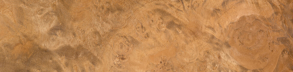 Myrtle root veneer with mesmerizing patterns and a warm, golden sheen