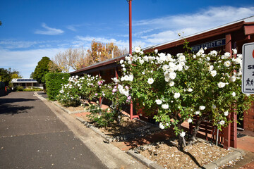 Caravan park in rural Australia