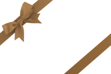 diagonally border frame wrap with brown ribbon bow isolated on transparent