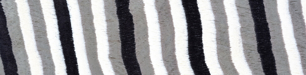 Monochrome zebra stripes pattern on a textured fabric, blending art and nature