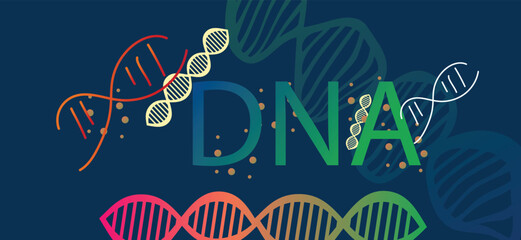 DNA, illustration, vector  DNA  shapes illustration