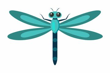 A Dragonfly on a white background