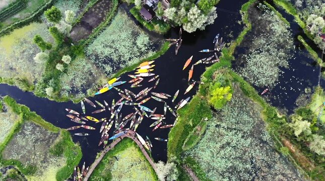 An Aerial Shot of Floating Vegetable Market at Dal Lake in Kashmir, India
