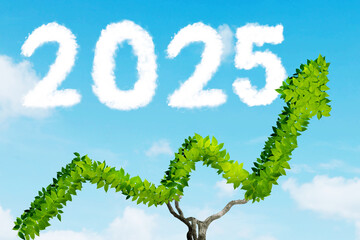 Year 2025 word made of clouds on blue sky background