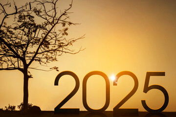 Silhouette of tree and 2025 new year number at the park with sunrise background