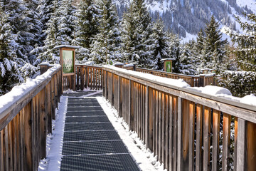 Baumzipfelweg park, Saalbach Hinterglemm, Austria