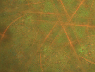 Imaginatory fractal abstract background Image