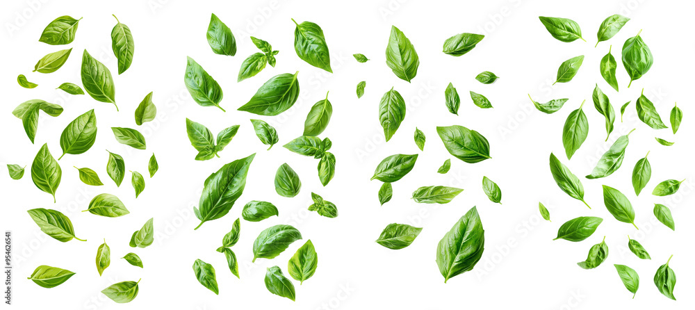 Sticker Basil falling, isolated on white, full depth of field