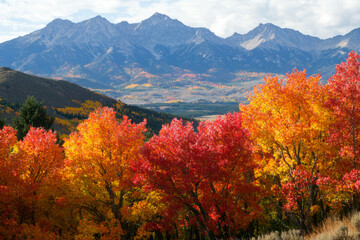 Fototapeta premium A vibrant autumn landscape featuring colorful trees in shades of red and orange, with majestic mountains in the background.