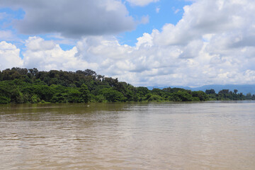 Peaceful scene of a wide river with lush greenery on the bank and a cloudy sky above