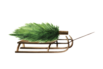 Wood winter sleigh with Fir, spruce, pine, cedar tree. Christmas vintage watercolor hand painted sled illustration isolated on background. For designers, decoration, shop, for postcards, wrapping pape