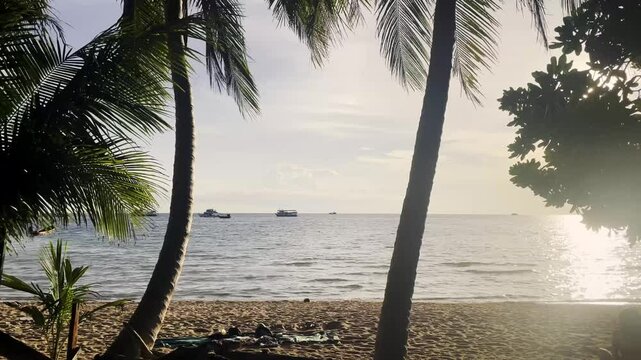 Tropical beach with palm trees, gentle waves, and a peaceful shoreline, perfect for relaxation as boats bob in the ocean