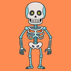 skull pirate skeleton vector illustration