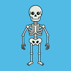 skull pirate skeleton vector illustration