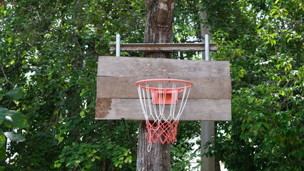 Basket-ball hoop mounted on wooden planks on a tree