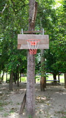Basket-ball hoop mounted on wooden planks on a tree
