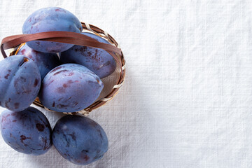 プル－ン　果物